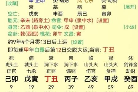 探索五行命理的喜与忌,揭示人生方向与选择