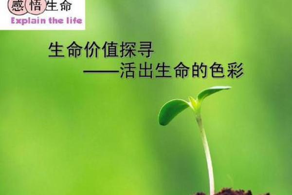 为民而生，永续生命的哲学探寻