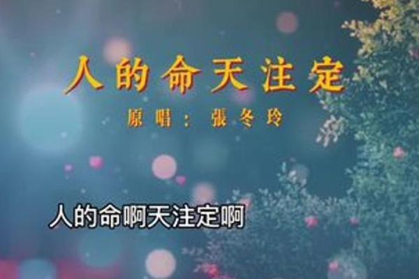 探寻人生意义：实命与虚命的深刻对比与思考