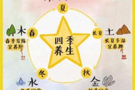 五行之木:属木命人的性格与命运探秘