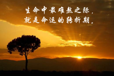 探秘女命55年：命运的转折与人生的智慧