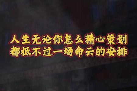 探寻人生意义:实命与虚命的深刻对比与思考