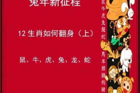 探讨牛、虎、鼠、兔的命格及其性格特征