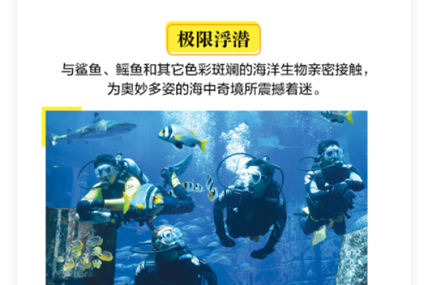探索海棠命与乌龟命的奥秘：命理学的奇妙世界