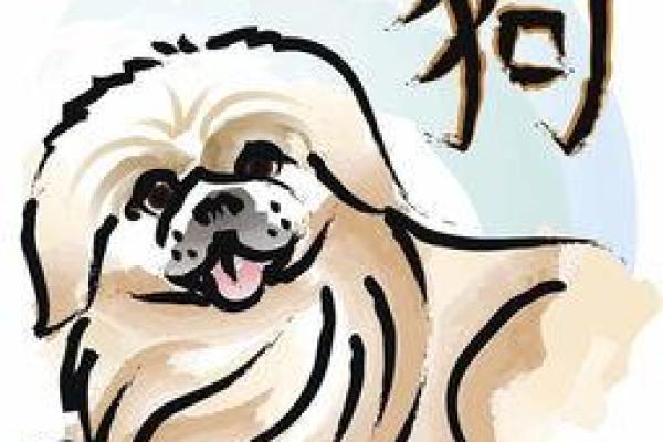 四十岁男属狗的水命解析：生活与事业的智慧之道