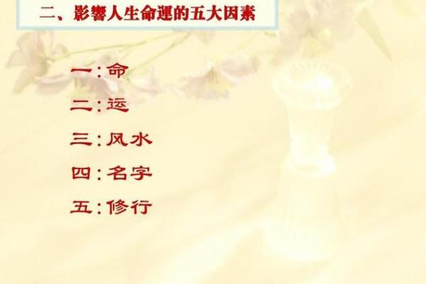 探索命运的奥秘：人的命远与人生的深层意义