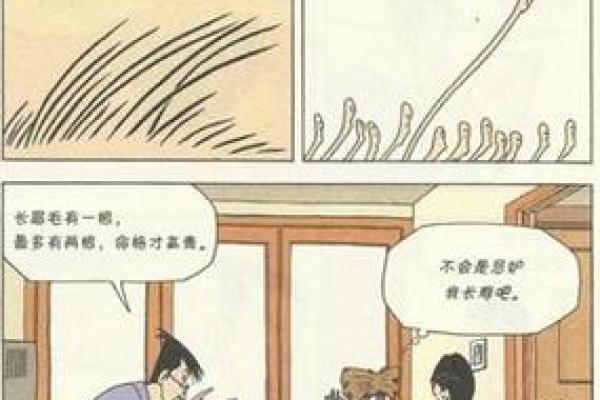 探寻命格奥秘：如何测出一个人的命运之道