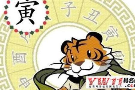 跃字命生肖解析:揭秘灵动人生的生肖密码