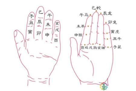 晚上8点出生的虎年命:命运与性格的深度解析