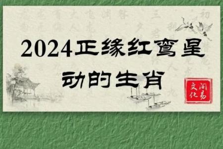 探寻八字解析:命中注定的福命女性特征与人生智慧