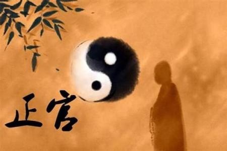 辛亥日柱男命适合的职业方向:探寻属于你的独特人生道路