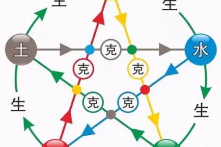 探索五行属木的神秘与命理,揭示命中有木的深刻意义