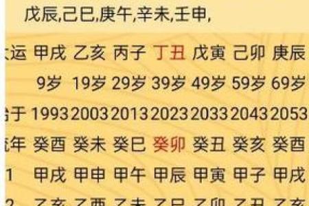 探秘癸酉年出生的命运:理解命理中的独特能量与性格
