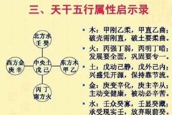 探秘阴木与阳命木：揭秘五行木命的神秘世界
