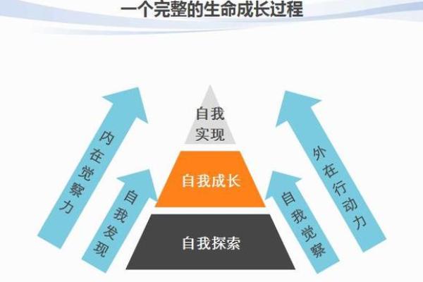 职业生死线：那些为生命付出代价的工作