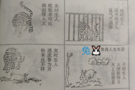 探秘十二生肖:月份命理对照全解析,助你了解自己的命运密码