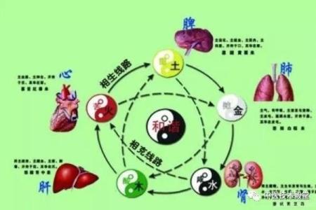 五行之火:缺失的元素与寻找平衡之道