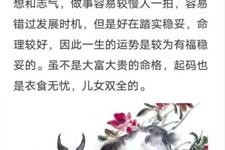 土命人适合的颜色揭秘，助你提升运势与魅力！