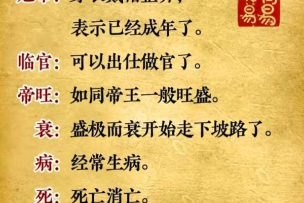 易经小皇帝命：探寻命理背后的智慧与人生启示