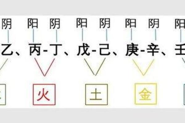 数易学5号人：探秘五行命理，揭示内心的真实自我！