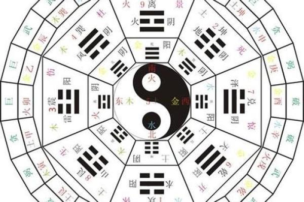 枭比伤：命理中的女命之象与智慧的探讨