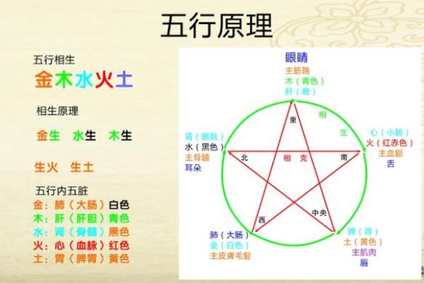 枭比伤：命理中的女命之象与智慧的探讨