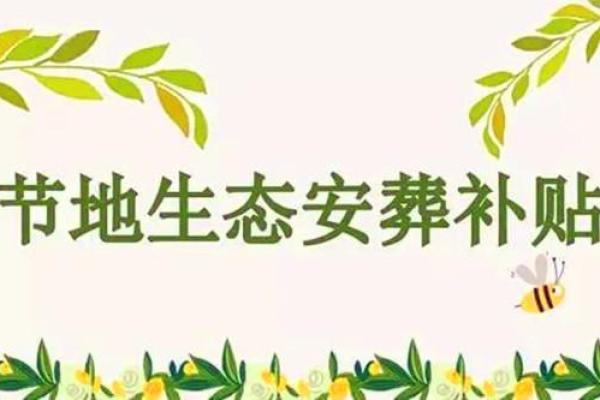 水命人逝世后最佳葬地方位探讨