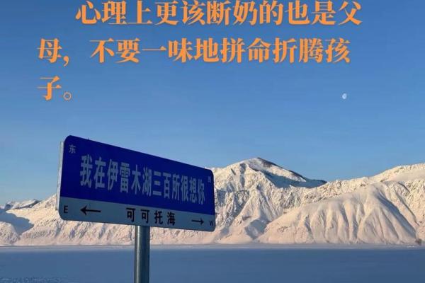 小孩子的命运和赋予：他们的未来从这里开始！