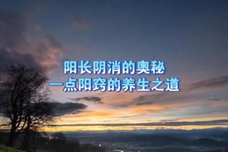 阳命与阴命:探寻命理中的神秘奥秘与人生指引