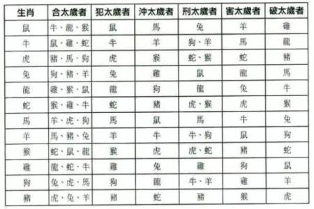 天上水命与命理生肖最佳配对,探寻幸福伴侣的秘密