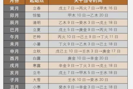 养殖狐狸五行属性解析:深入了解狐狸养殖的命理学