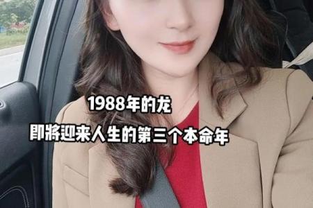 五月出生的龙命:掌控人生的独特优势与魅力