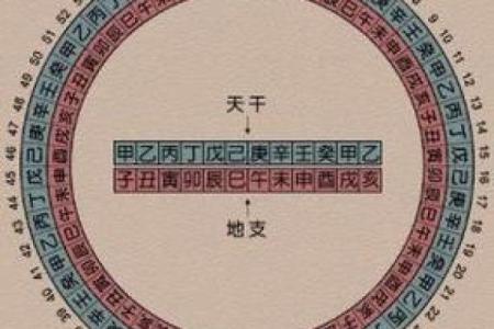 探秘壬戌年出生的女性命理：她们独特的命运之旅