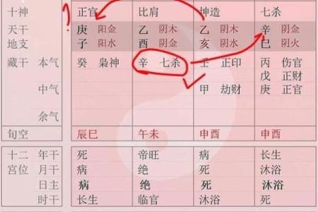 怎么看自己是什么女命男?揭秘命理与人生的关系!