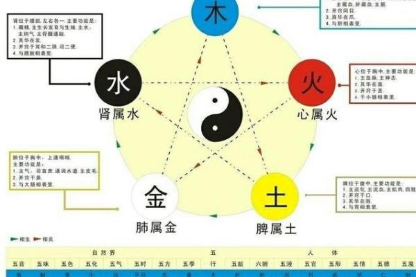 土命与金命：如何选择合适的生意助您发财之路？
