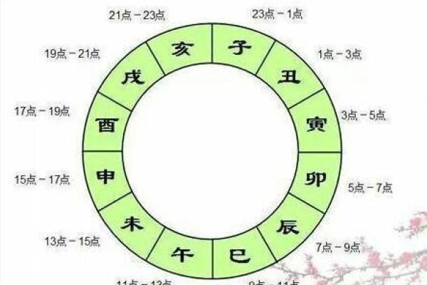 酉时出生的女孩命运解析：揭示命理的奥秘与人生的选择