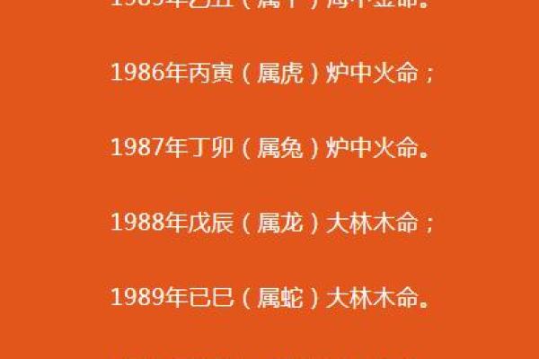探秘木命海中金命的楼层选择：如何找到你的最佳居住位置？