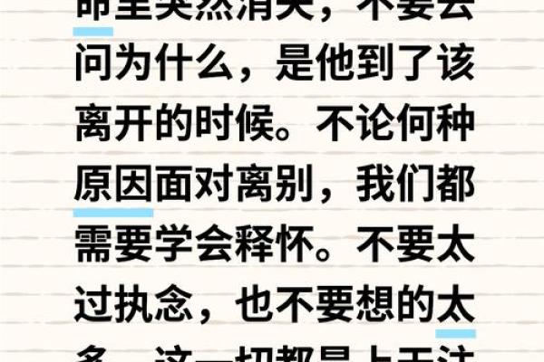 终于明白“命里没你”的深意，放下与释怀的旅程