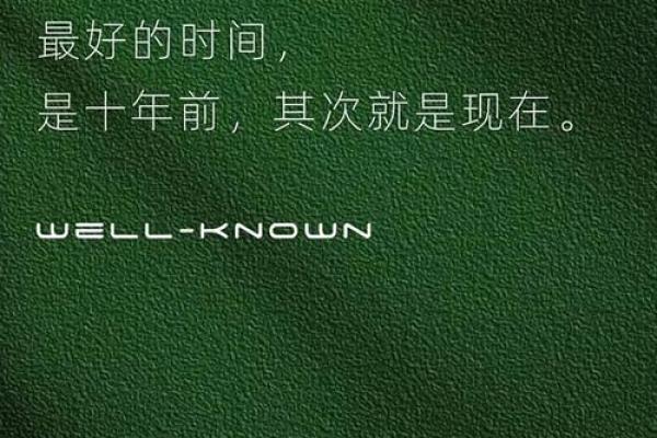 终于明白“命里没你”的深意，放下与释怀的旅程