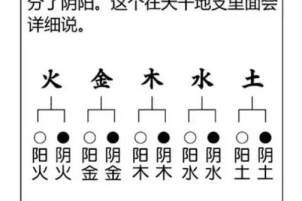 一月出生的命理解析：揭示你的独特命运与潜在优势