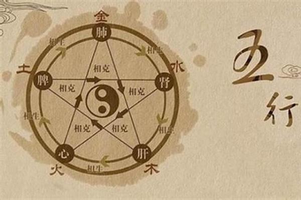 探寻木命之缘：什么命的人最适合与木命相伴？