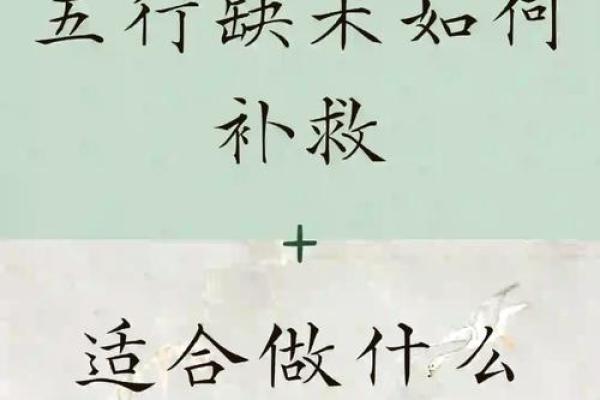 探寻木命之缘：什么命的人最适合与木命相伴？