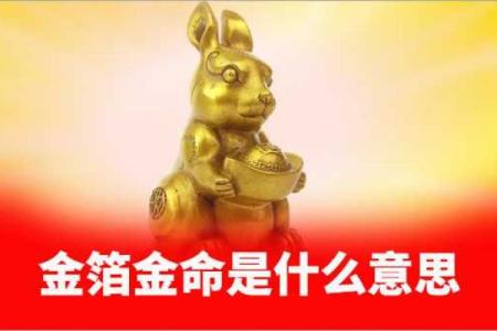 探秘命理:如何理解癸卯金箔金命的独特特征与人生机遇