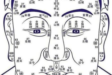 一月出生的命理解析：揭示你的独特命运与潜在优势