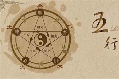 探寻木命之缘：什么命的人最适合与木命相伴？