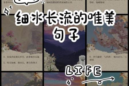 细水长流的命:平凡生活中的不平凡智慧
