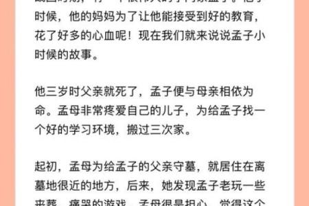 相依为命，爱在岁月深处的温暖与陪伴