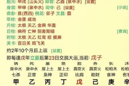 探秘壬寅虎年：属于什么命格与命理的深度解析