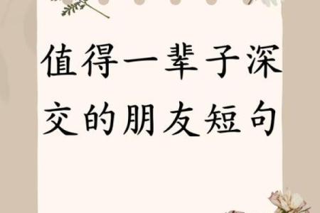 相依不为命:人生中那个你我皆需的灵魂陪伴