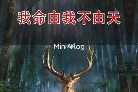 我命油田不油,你的幸福由你掌握!